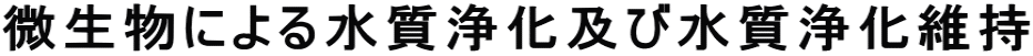 ɂ鐅򉻋yѐ򉻈ێ